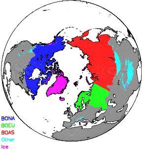 spatial scale